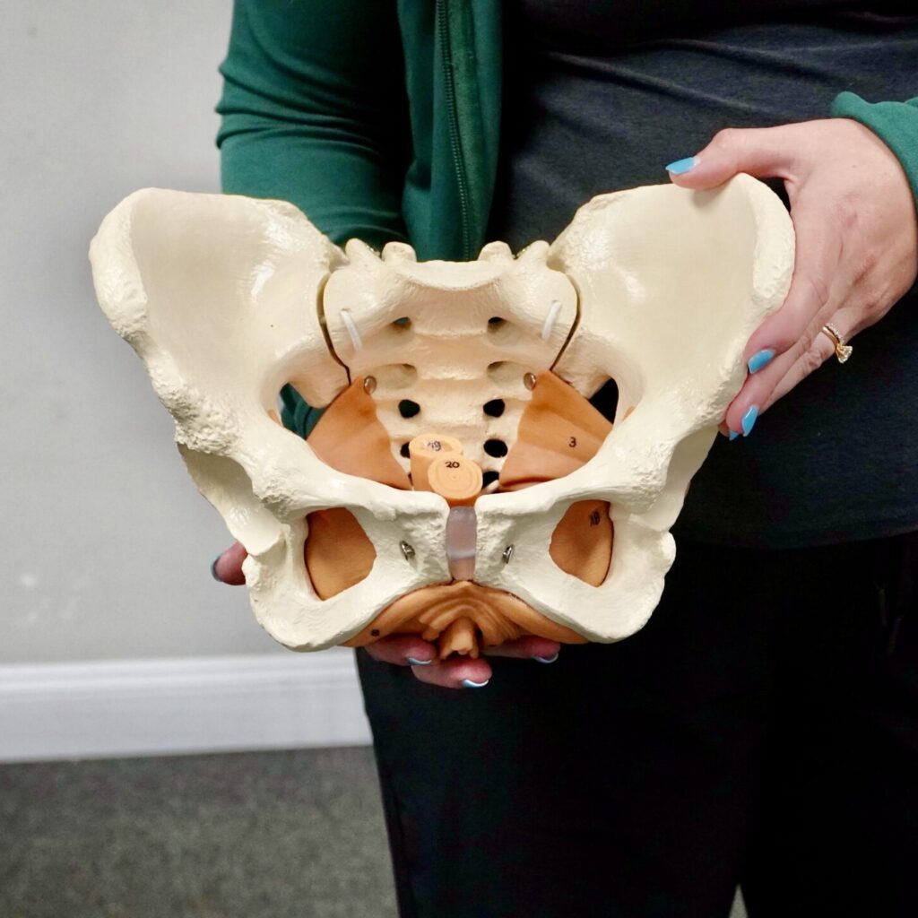 Pelvic Health Myth Busting